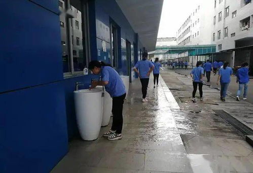 又一家出口電商平臺倒閉，2021年民營外貿企業在安防工程領域的困境與反思